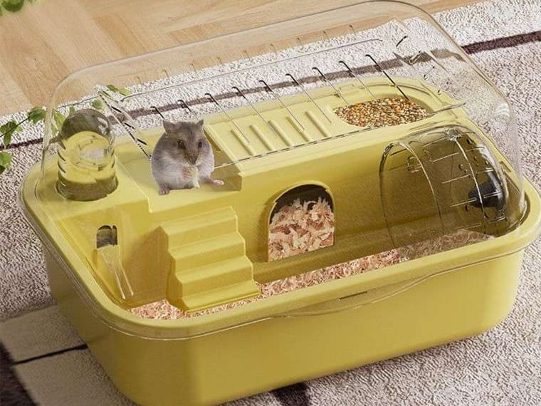 ハムスターケージ 全景透明ハムスターの快適ハウス