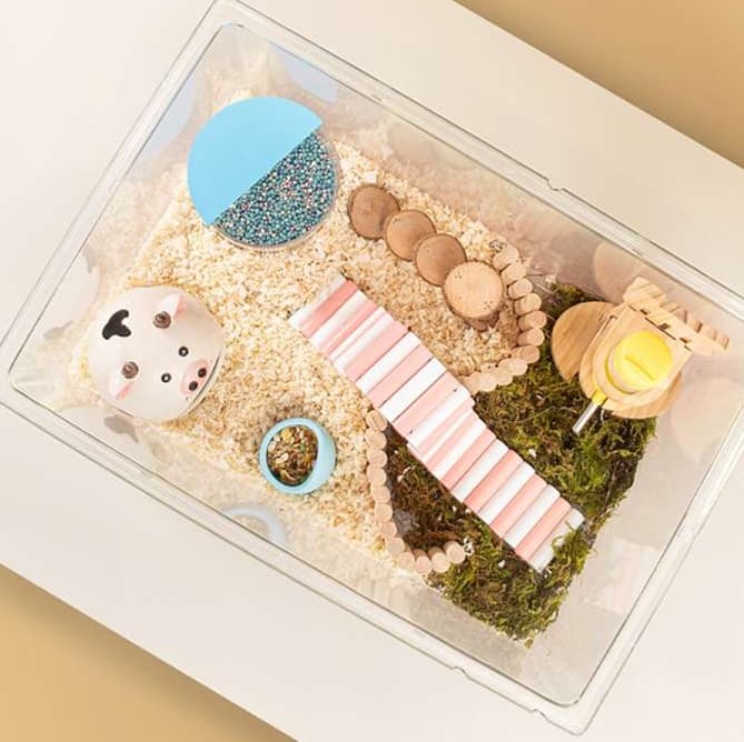 ハムスターケージ 透明ペット観察ケース オールシーズン