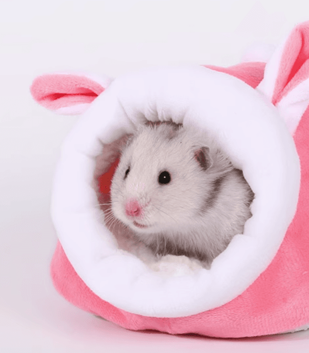 ハムスターケージ もふもふ動物キャラクターハウス