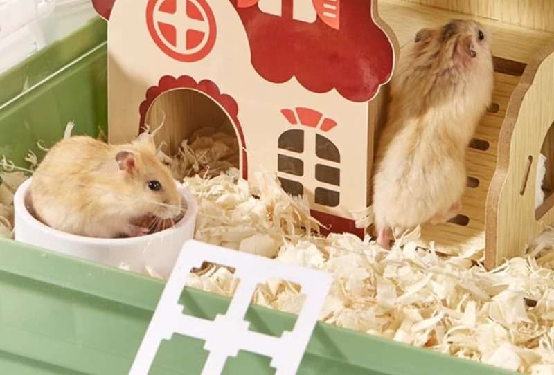 仲良し2匹でのびのび暮らせる！2匹用ハムスターケージ15選